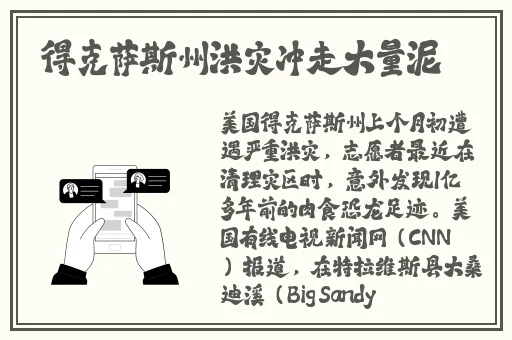 人与ZOOM人C交